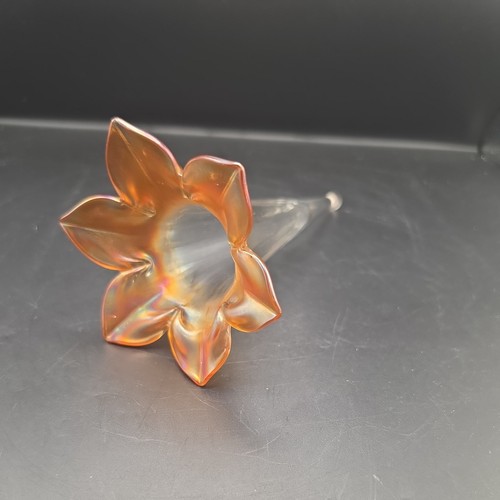 Beautiful iridescent - beautiful,