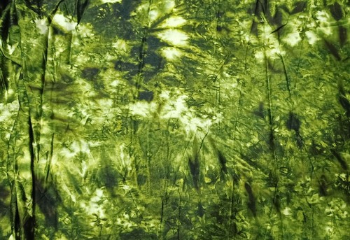 Indian green rayon - green, dye