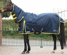 gallop trojan turnout rug 200g