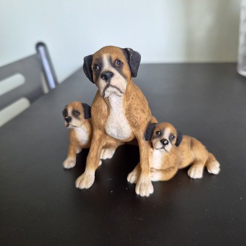 Sherratt simpson boxer dog - simpson,
