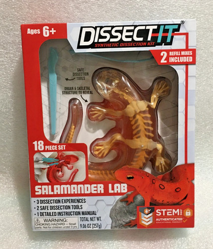 Stem dissect synthetic - stem, dissect-it