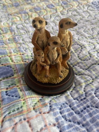 Country artist meercats - country,