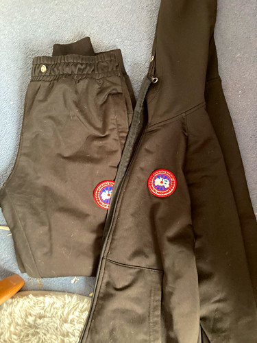 Canada goose chilliwack - goose,