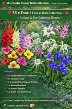 38 x Exotic Bulbs Mix –