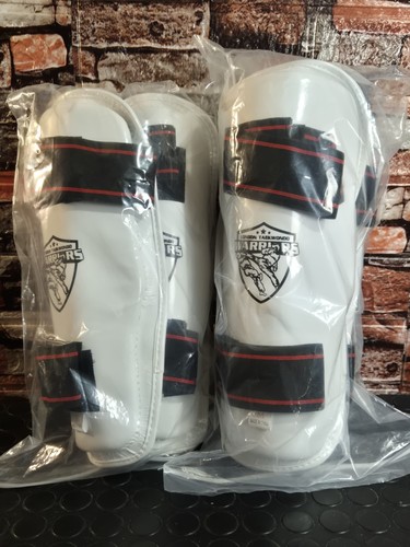 London taekwondo warriors shin - london,