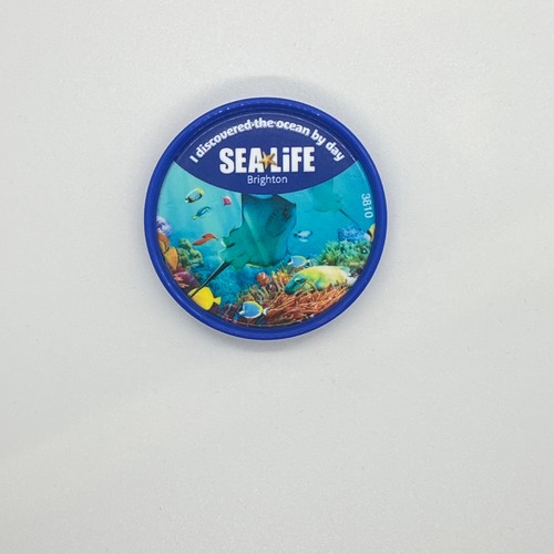 Sea life centre day - sea,