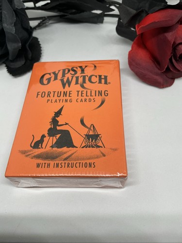 Gypsy witch fortune telling - fortune,