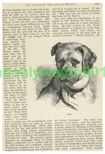 Rab by Dr John Brown, Book Illustration, c1890