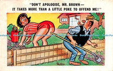 R261721 Comic Card Garden Woman Mr Brown Pedro No 141