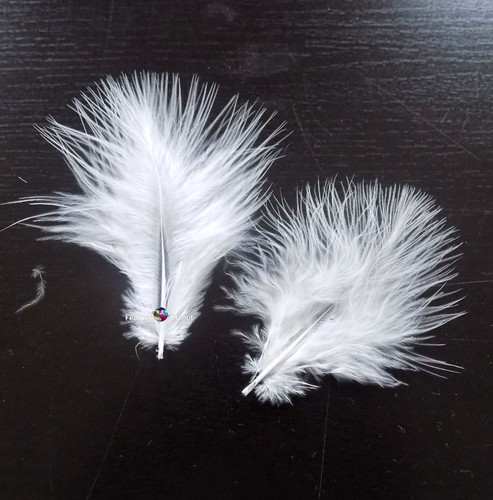 Marabou feathers assorted - marabou, feathers,