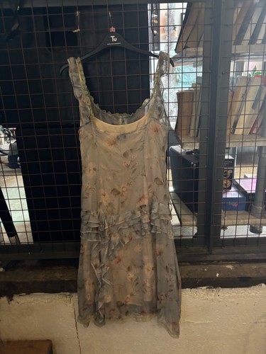 Floral rare archived dolce - floral,