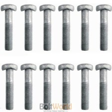 M8 x 40mm SADDLE BOLT, D