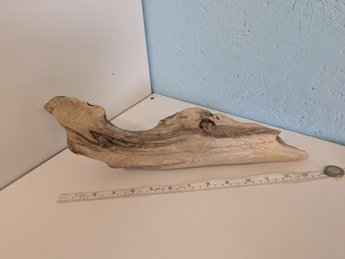 4933 decorative driftwood - 4933#,