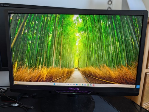 Philips brilliance line 221b - philips, b-line