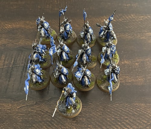 Well painted x12 knights - **well,