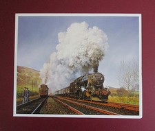 MALCOLM ROOT  9.20" x 7.50"