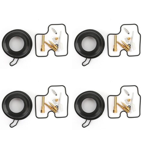 Set carburetor repair - carburetor, kit