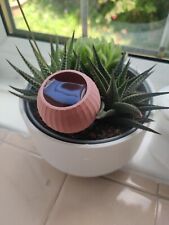 Terracotta Effect Self Watering Spike Indoor Plant Pot Pack of 4 New Design 