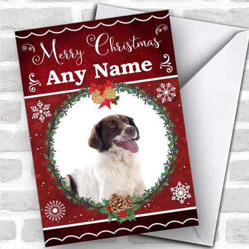 French spaniel dog - french, traditional