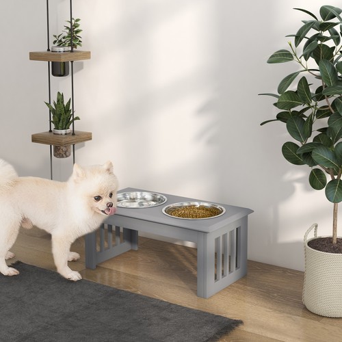 Pawhut raised dog - dog, pet