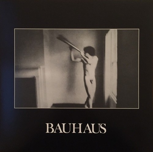 Bauhaus the flat field - the,