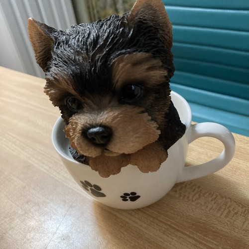 Adorable yorkie pup sitting - yorkie,