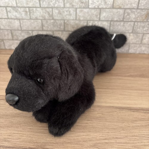 Suki laying black labrador - laying,