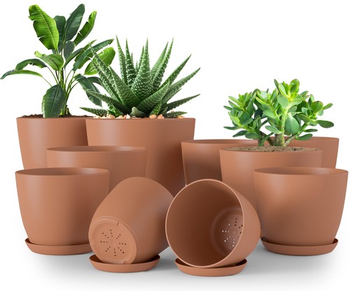 Indoor plant pots with - plant,