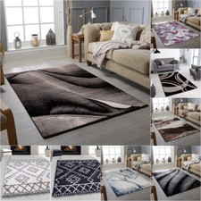 Large living room - rugs, small