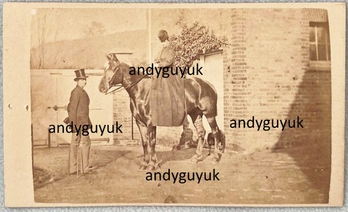 Cdv lady horse riding - cdv,