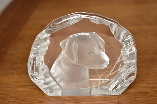 Dartington labrador crystal - dartington,