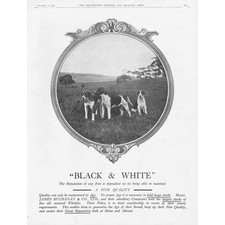 James buchanan black white - black,
