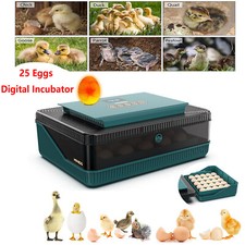 Digital incubator chick egg - incubator,