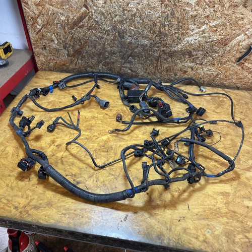 Triumph sprint 1050 loom - triumph,