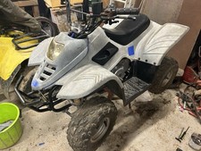 Kids Petrol Quad Bike 50cc