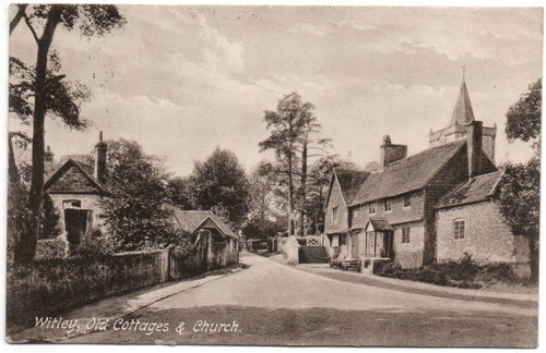 569 printed postcard - 569/printed, whitley