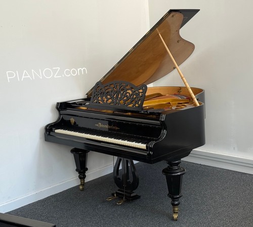Bosendorfer 170 strauss - strauss, model