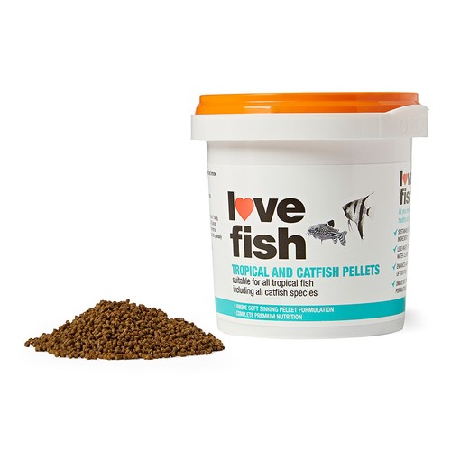 Love fish tropical - love,