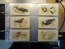 GRANDEE CIGAR CARDS COLLECTION 13 COMPLETE SETS IN ALBUM