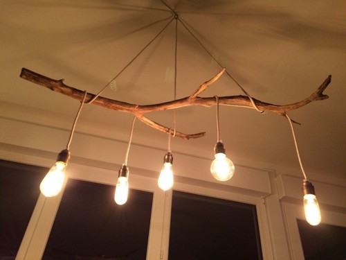 Silver birch branch long from - silver,