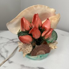 Vintage seaworld conch - vintage,