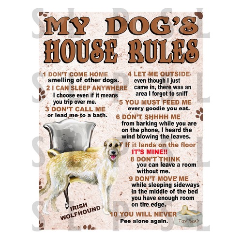 Dog house irish - my,