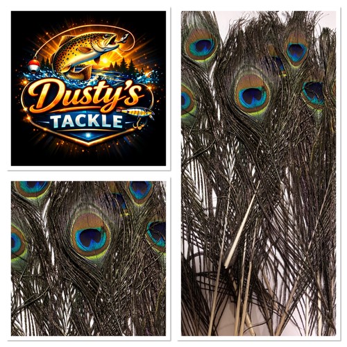 Real natural peacock feathers - real,
