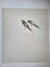 Vintage Pencil Drawing Print