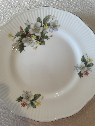 Queens rosina china - rosina, wildflower