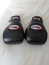 Twins Muay Thai Boxing Gloves
