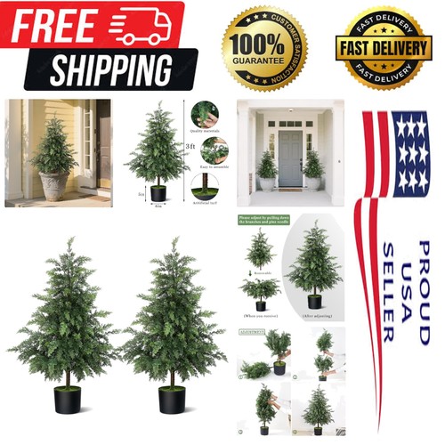 Elegant 3ft cedar topiary - elegant,