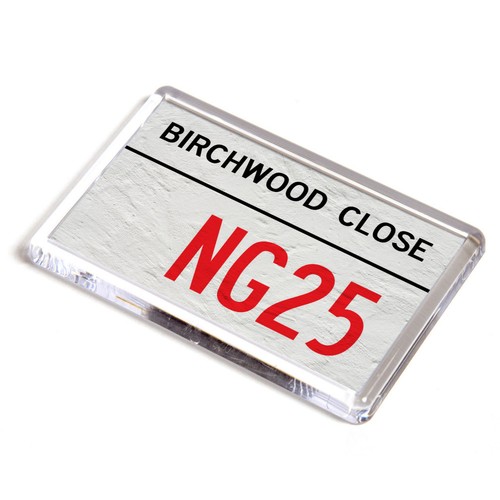Fridge magnet birchwood - magnet,