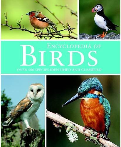 Birds - (animal, encyclopedia)