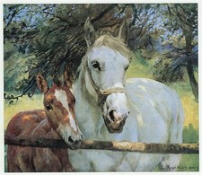 Who Comes? Mare & Foal at Fence, Lucy Kemp Welch horse print in 10 x 12 mount